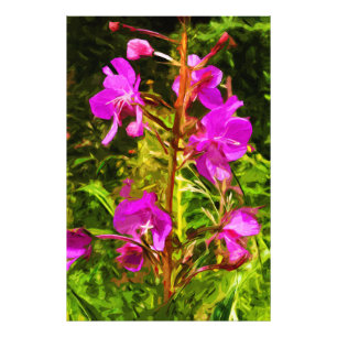 Foto Abstrato do Alasca do Wildflower do rosa do