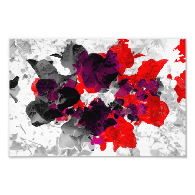 Foto Abstrato floral - vermelho e roxo sobre branco (Frente)