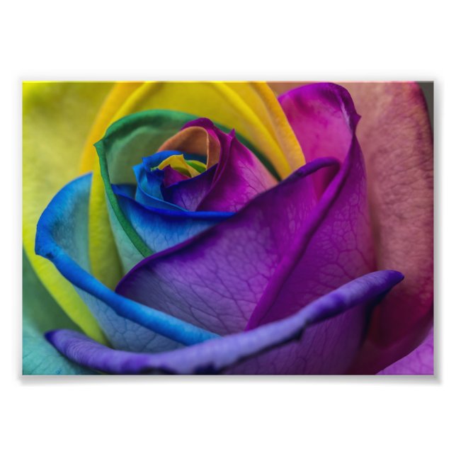 Foto Abstrato Rainbow Rosa (Frente)