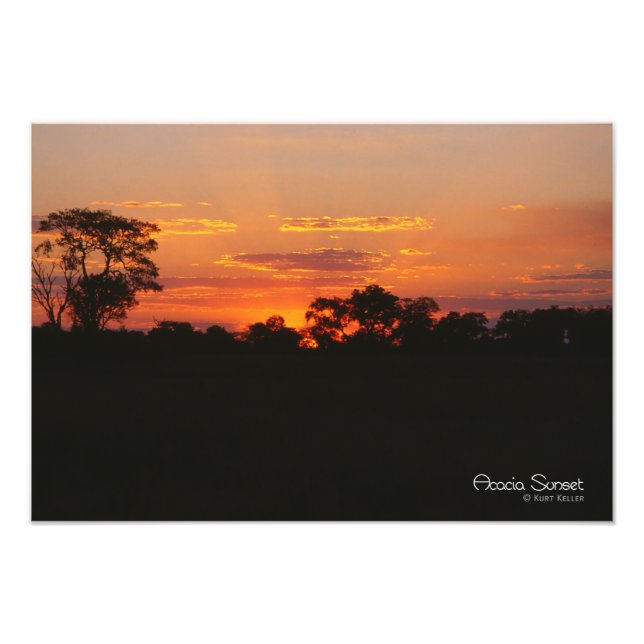 Foto Acacia Sunset (Frente)