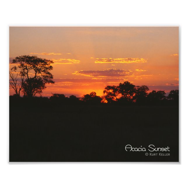 Foto Acacia Sunset (Frente)