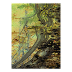 Foto "Acima de uma barragem de castor I" Salão melhorad