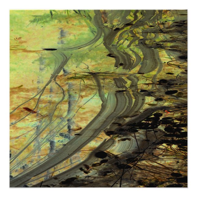 Foto "Acima de uma barragem de castor II" Salão melhora (Frente)