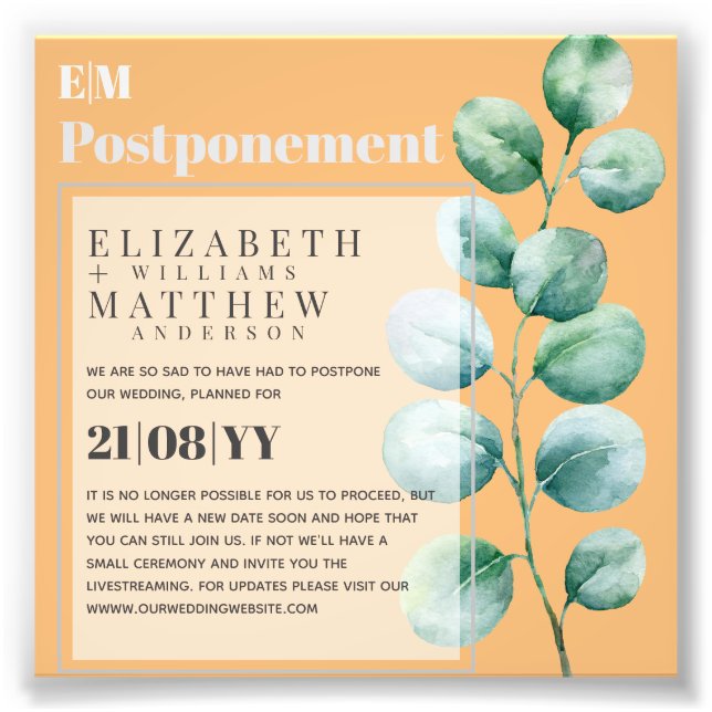 Foto Adiamento da Mudança de Planos Eucalyptus Greenery (Frente)