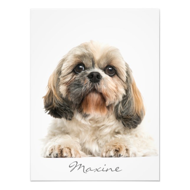 Foto Adicione Seu Retrato Pet Shih Tzu Dog Personalizad (Frente)