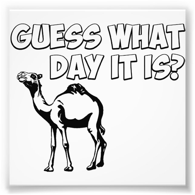 Foto Adivinha Que Dia É? Camelo Hump Day (Frente)