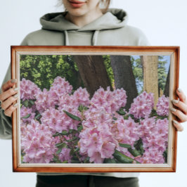 Foto Adorável Rhododendron Rosa Floral