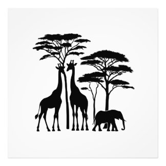 Foto Afafricano Safari Silhouette - Girafas, Elefante,