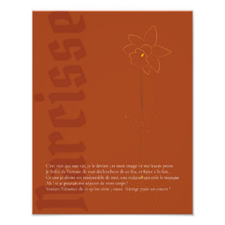 Foto Affiche Narcisse