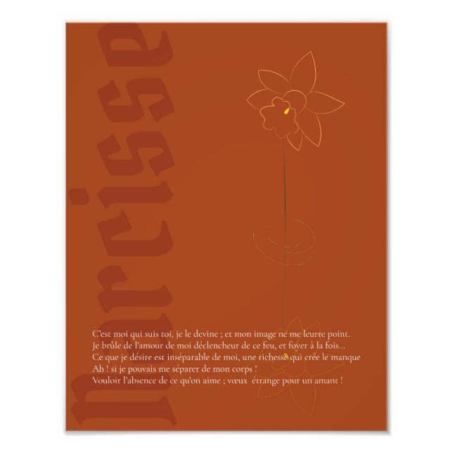 Foto Affiche Narcisse (Frente)