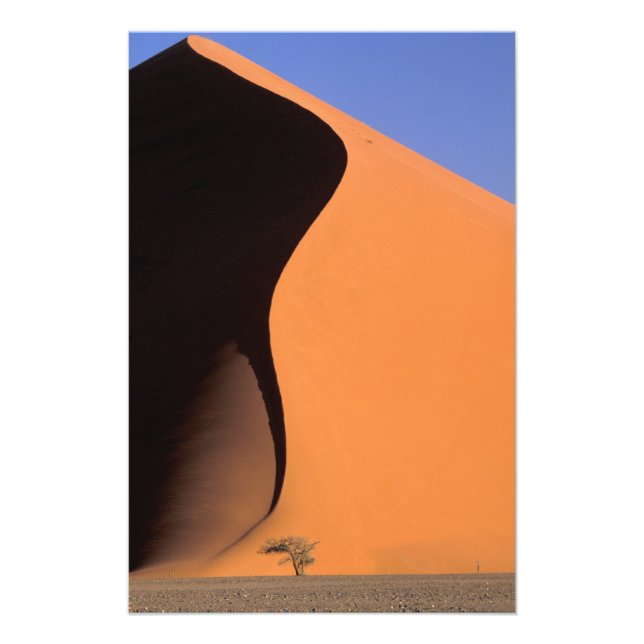 Foto África, Namíbia, Luz da tarde nas dunas, (Frente)