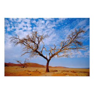 Foto África, Namíbia, Parque Nacional Naukluft,