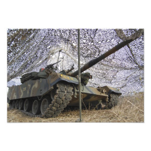 Foto Agressores trocistas de República da Coreia 2