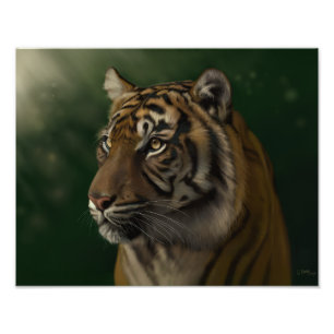 Foto Aguardando o amanhecer - Gretchen Bartz