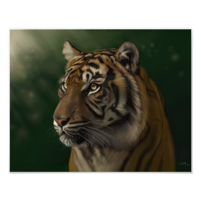 Foto Aguardando o amanhecer - Gretchen Bartz (Frente)