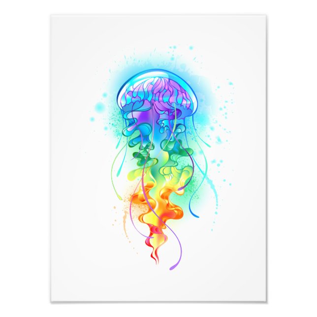 Foto Águas-vivas do arco-íris (Frente)