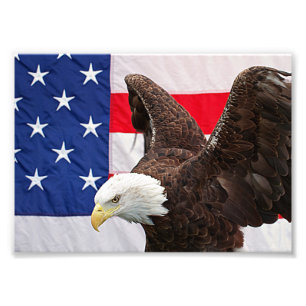Foto Águia Balda com a bandeira americana