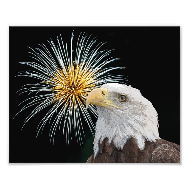 Foto Águia Balda e fogos de artifício (Frente)