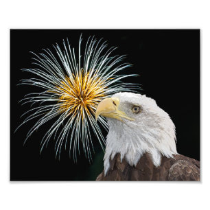 Foto Águia caida e fogos de artifício