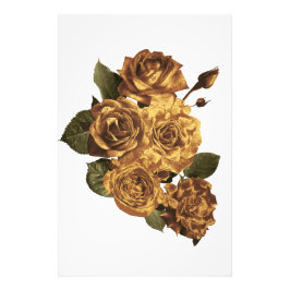 Foto Alargamento,Alargamento de uma fotografia