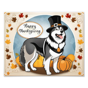 Foto Alaskan Malamute Dog Pilgrim Feliz Ação de Graças