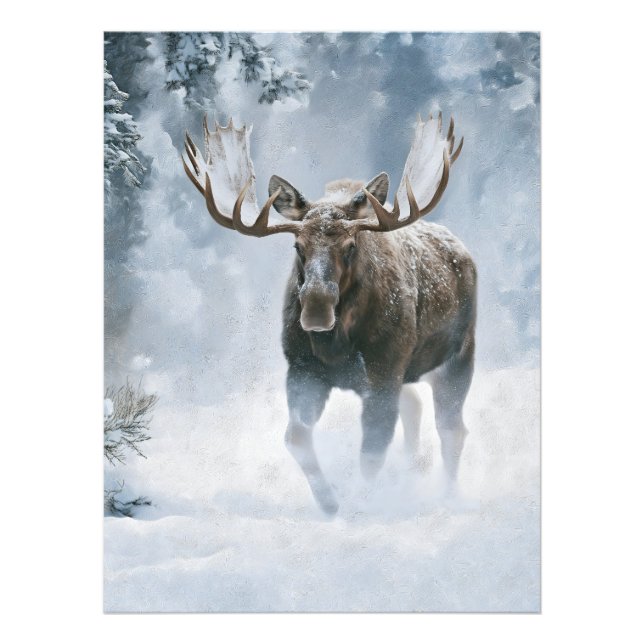 Foto Alce Macho Caminhando pela Neve Boreal (Frente)