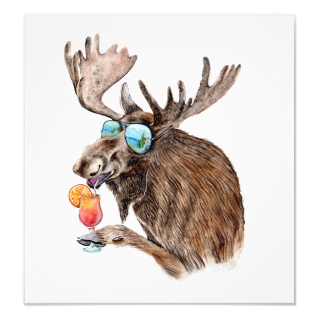 Foto Alce na Fenda (Frente)