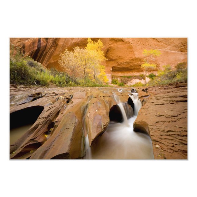 Foto Algodões no Outono, Coyote Gulch, Glen (Frente)