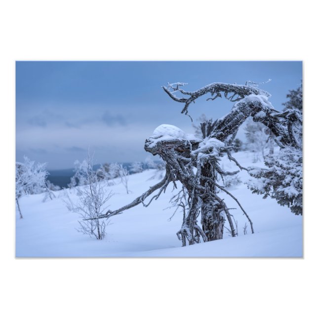 Foto Alienígena de madeira no inverno (Frente)