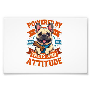 Foto Alimentado Por Guloseimas E Atitude Bulldog Francê