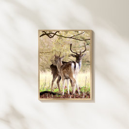 Foto allow Deer of the English Estate