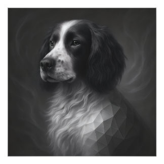 Foto Alma Fiel – Geometria do Springer Spaniel