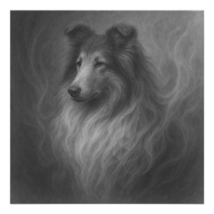 Foto Alma Gentil — Retrato de Collie por GeoWild Design