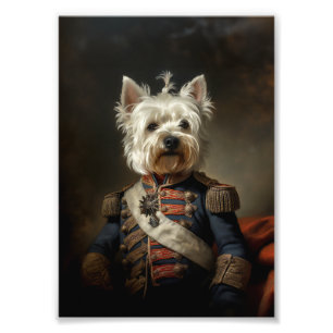 Foto Almirante West Highland Terrier