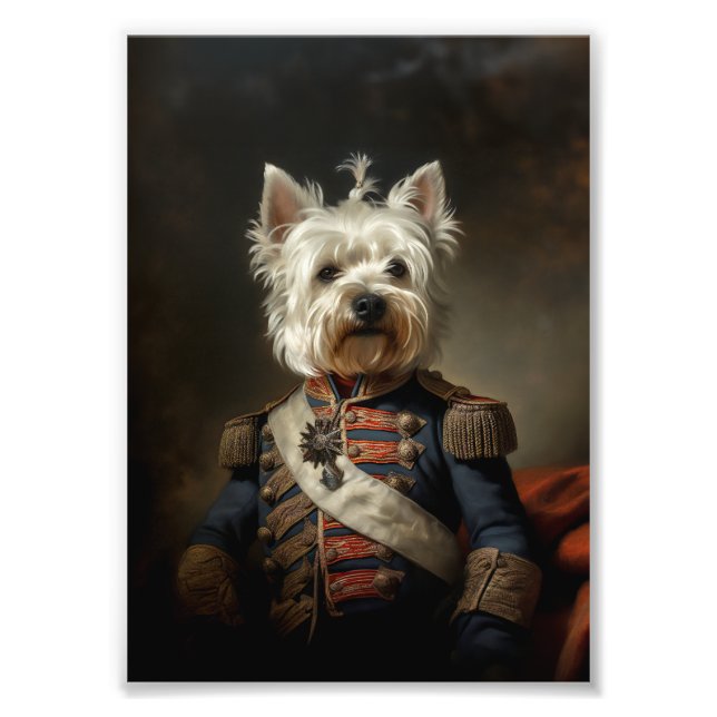 Foto Almirante West Highland Terrier (Frente)