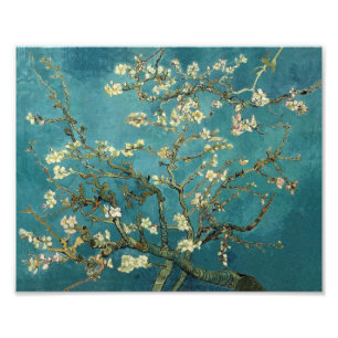 Foto Almond Blossom
