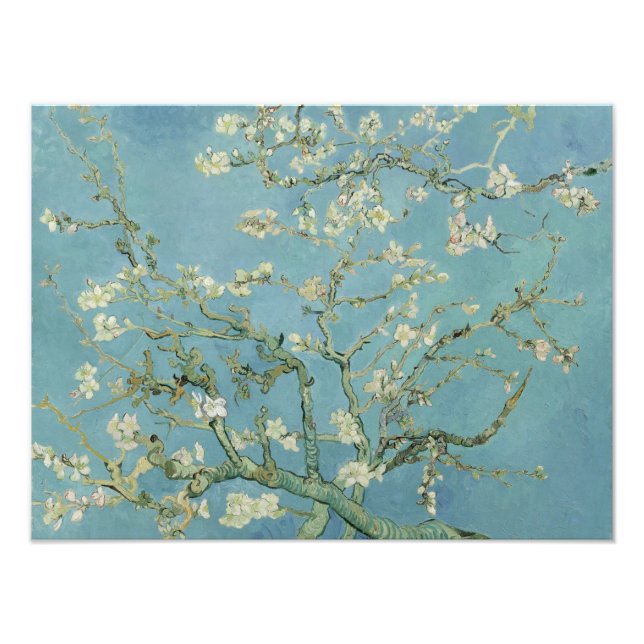 Foto Almond Blossoms de Vincent Van Gogh Fine Art (Frente)