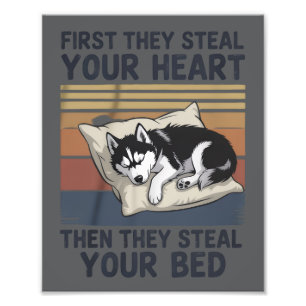 Foto Amantes de cães siberianos engraçados Dono de cães