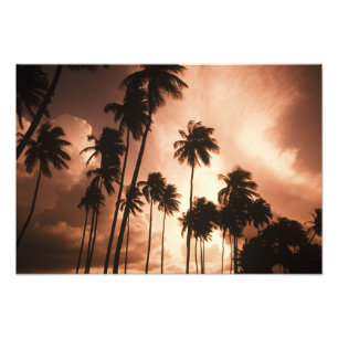 Foto Ambergris Caye, Belize, América Central. 2