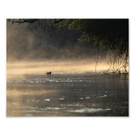 Foto Ambiance lever du jour