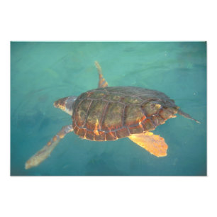 Foto América Central, Panamá, Bocas Del Torro