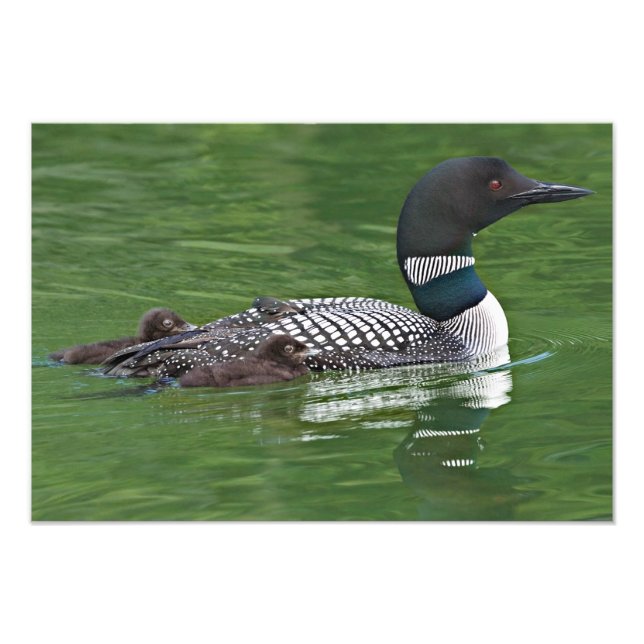 Foto América do Norte, Canadá, Colúmbia Britânica (Frente)