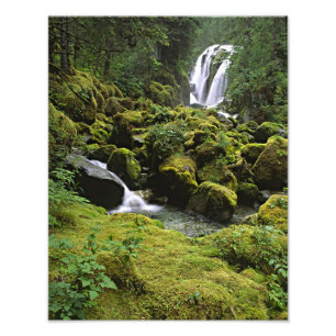 Foto América do Norte, EUA, Alasca. Uma cachoeira e