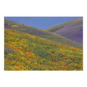 Foto América do Norte, EUA, Califórnia, Los Angeles