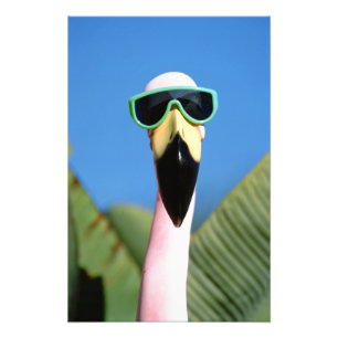 Foto América do Norte, EUA, Califórnia, San Diego. Ma