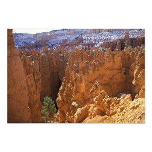 Foto América do Norte, EUA, Utah, Bryce Canyon 2