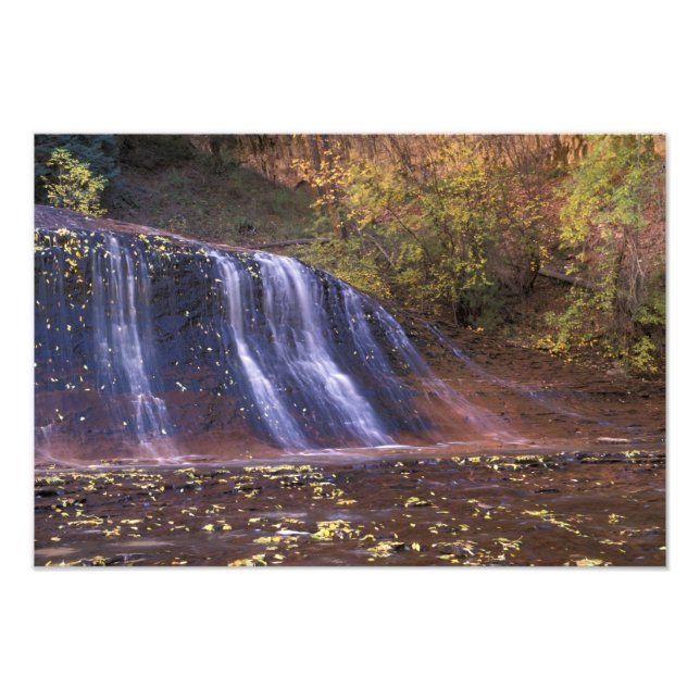 Foto América do Norte, EUA, Utah, Zion National Park. (Frente)