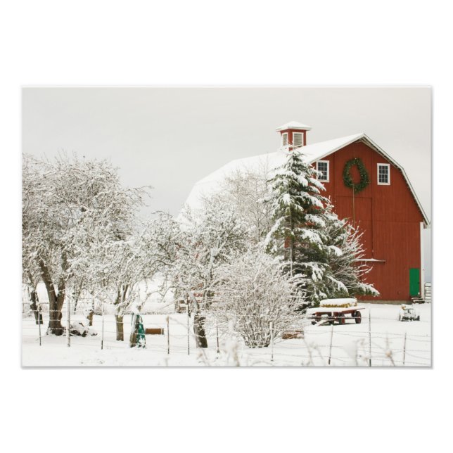 Foto América do Norte, EUA, WA, Ilha de Whidbey. (Frente)