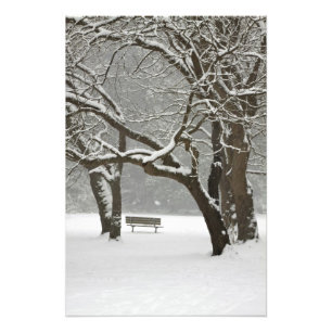 Foto América do Norte, EUA, Washington, Seattle, neve 