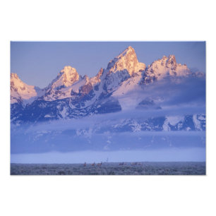 Foto América do Norte, EUA, Wyoming, Grand Teton NP, 2